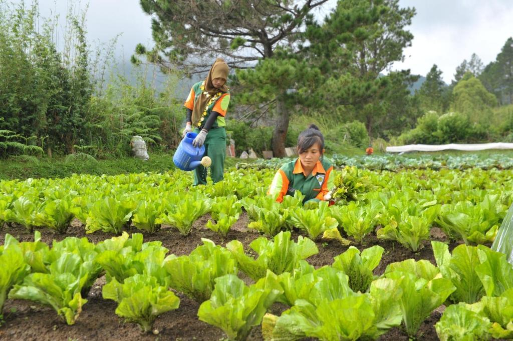 Taman Simalem Resort Tongging エクステリア 写真