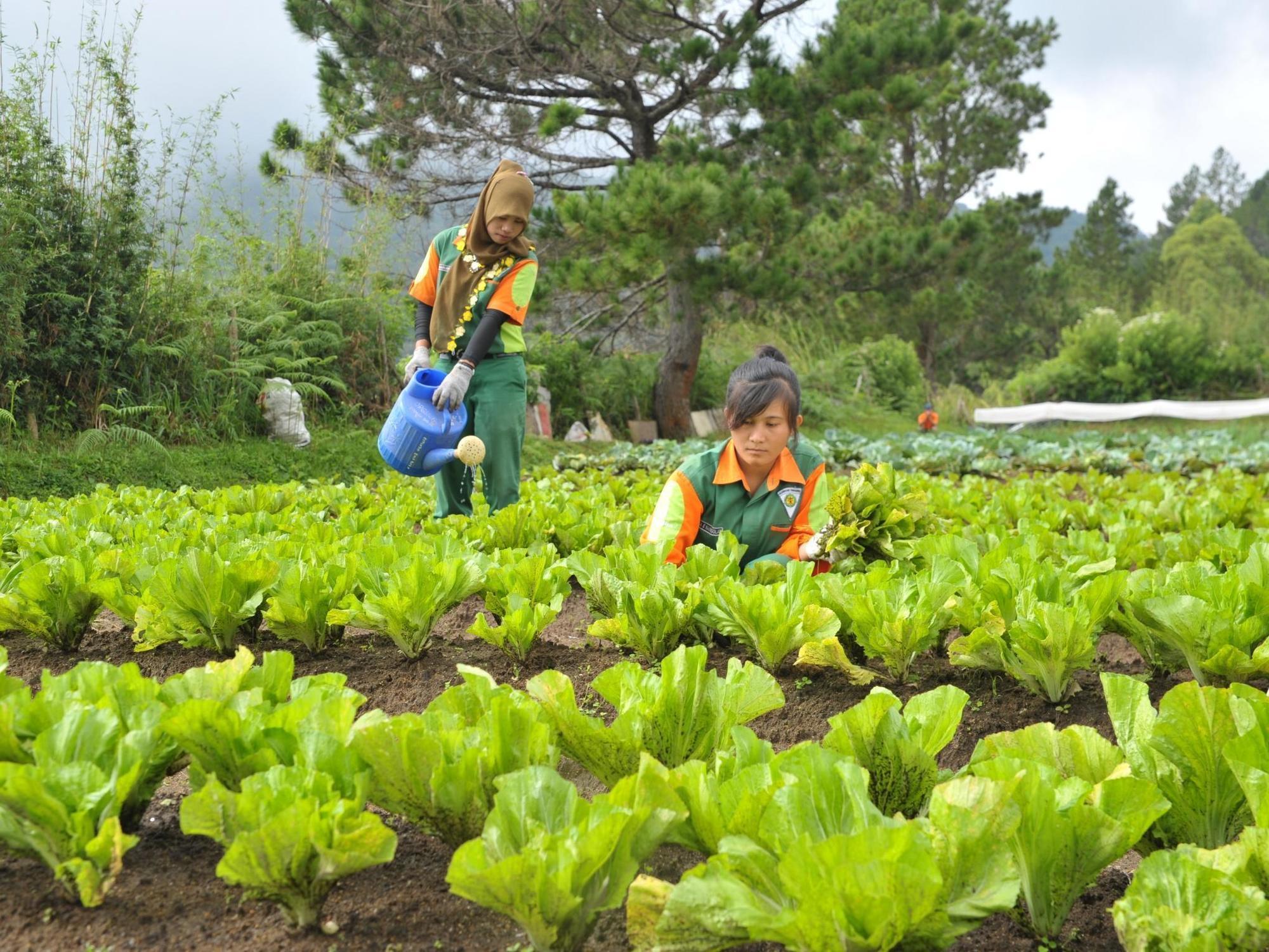 Taman Simalem Resort Tongging エクステリア 写真