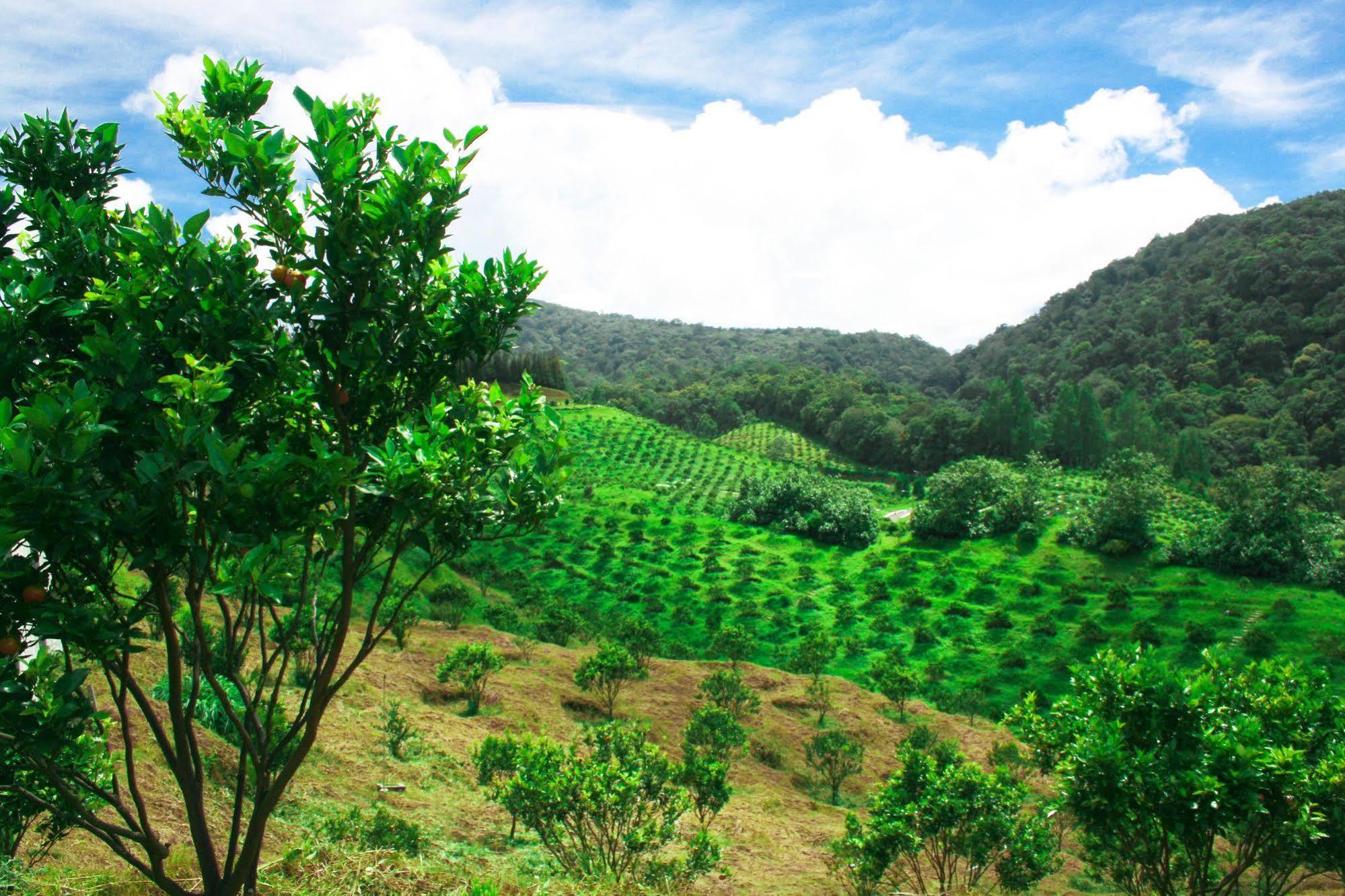 Taman Simalem Resort Tongging エクステリア 写真