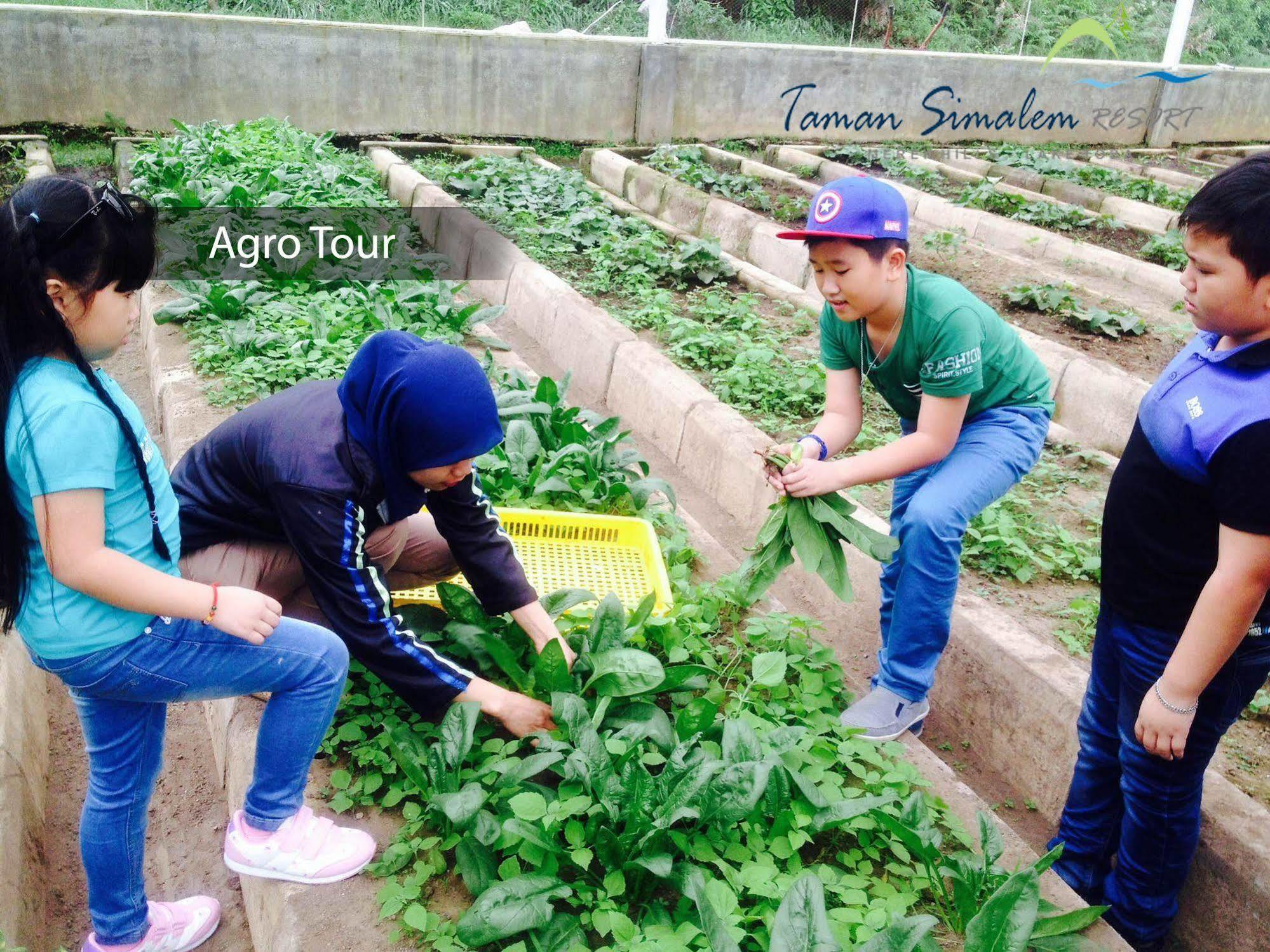 Taman Simalem Resort Tongging エクステリア 写真