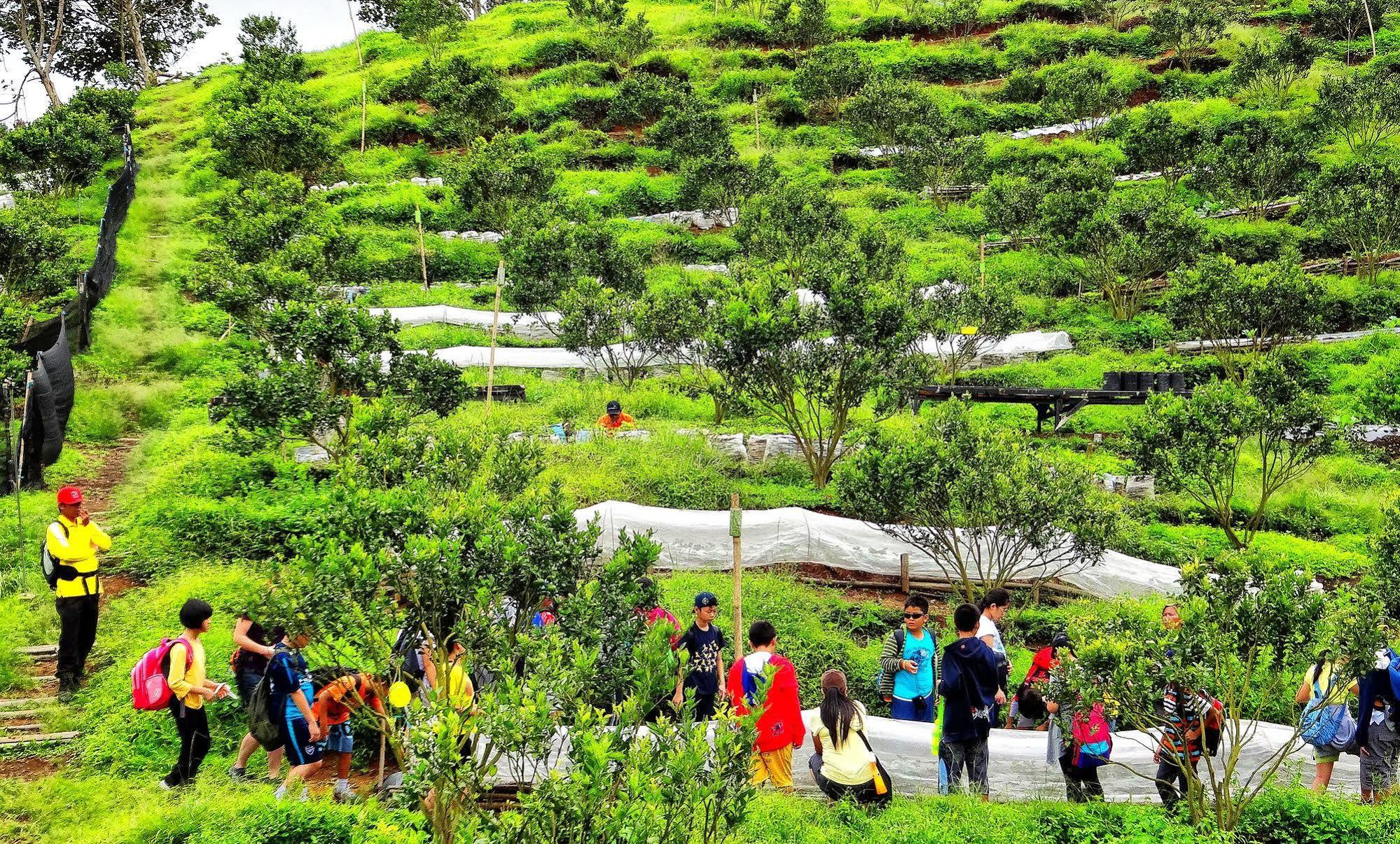 Taman Simalem Resort Tongging エクステリア 写真